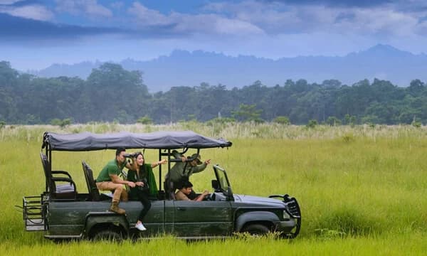 Safari and Wildlife Tours